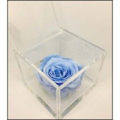 Cubo Plex Trasparente | Graziano Sas