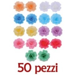 Gardenia in cialda SFUSA Pz.50 | Graziano Sas