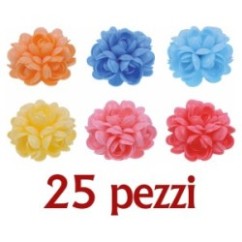 Rosone in cialda SFUSO Pz.25 | Graziano Sas