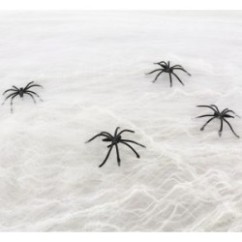 Ragnatela di Halloween | Graziano Sas