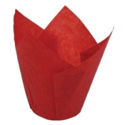 Pirottini tulip cup colore rosso