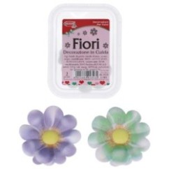 Fiori Pz.2 | Graziano Sas