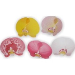 Orchidea 2 pz | Graziano Sas