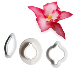 Set di 3 stampini tagliapasta a forma di orchide | Graziano Sas