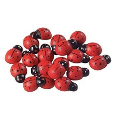 Coccinelle Adesive Decorative | Graziano Sas