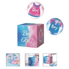 Scatola Gender Reveal Boy or Girl con Dischetti | Graziano