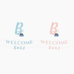 Festone Welcome Baby in Cartoncino Rosa e Celeste