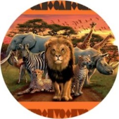 Cialda Animali | Graziano Sas