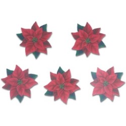 Stella di Natale in cialda a soli 3,9 €