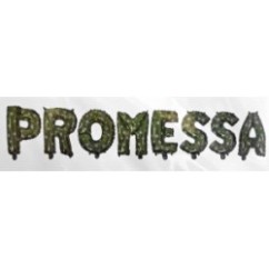 Kit Palloncini Festone Promessa di Matrimonio | Graziano Sas