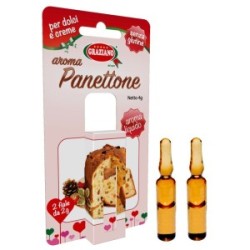 Aroma Panettone