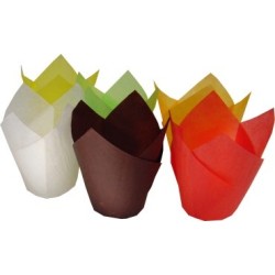 TULIP CUP 20pz | Graziano Sas