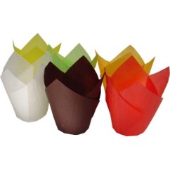 TULIP CUP 20pz | Graziano Sas