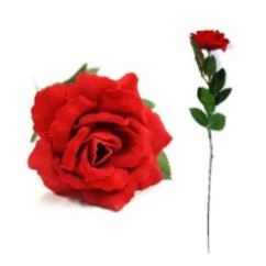 Rosa rossa a stelo lungo | Graziano Sas