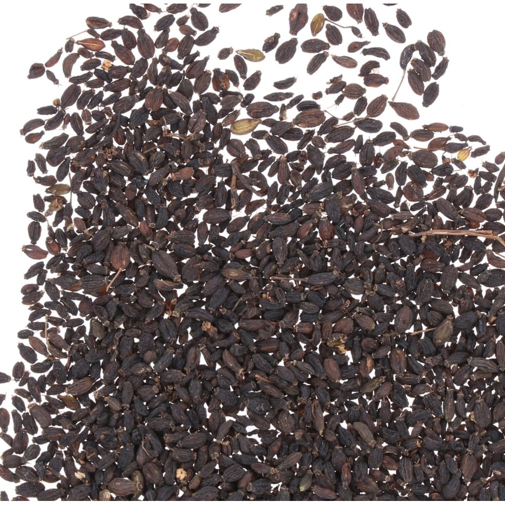 Anice Nero 10g | Graziano Sas